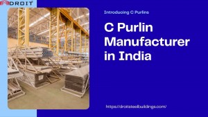 C purlin manufacturer india