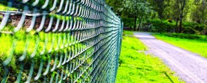 Commercial Fencing