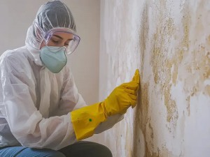 lady removing mould
