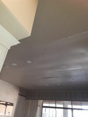 more ceiling damage