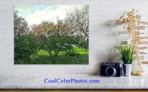 This Online Program Can Make You Happy in 10 Seconds — And It’s Free