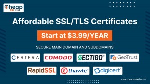 CheapSSLWeb.com Becomes a Go-To Source for Low Cost DV SSL, Wildcard & Multi-Domain SSL Certificates