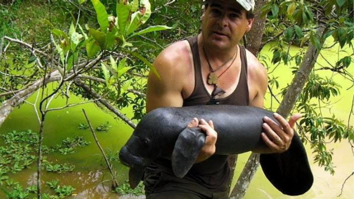 Rusty Johnson with Amazon manatee