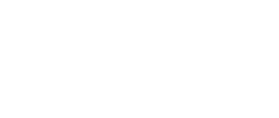 Andrew Lee Jenkins Logo