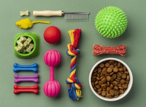 pet accessories still life concept set