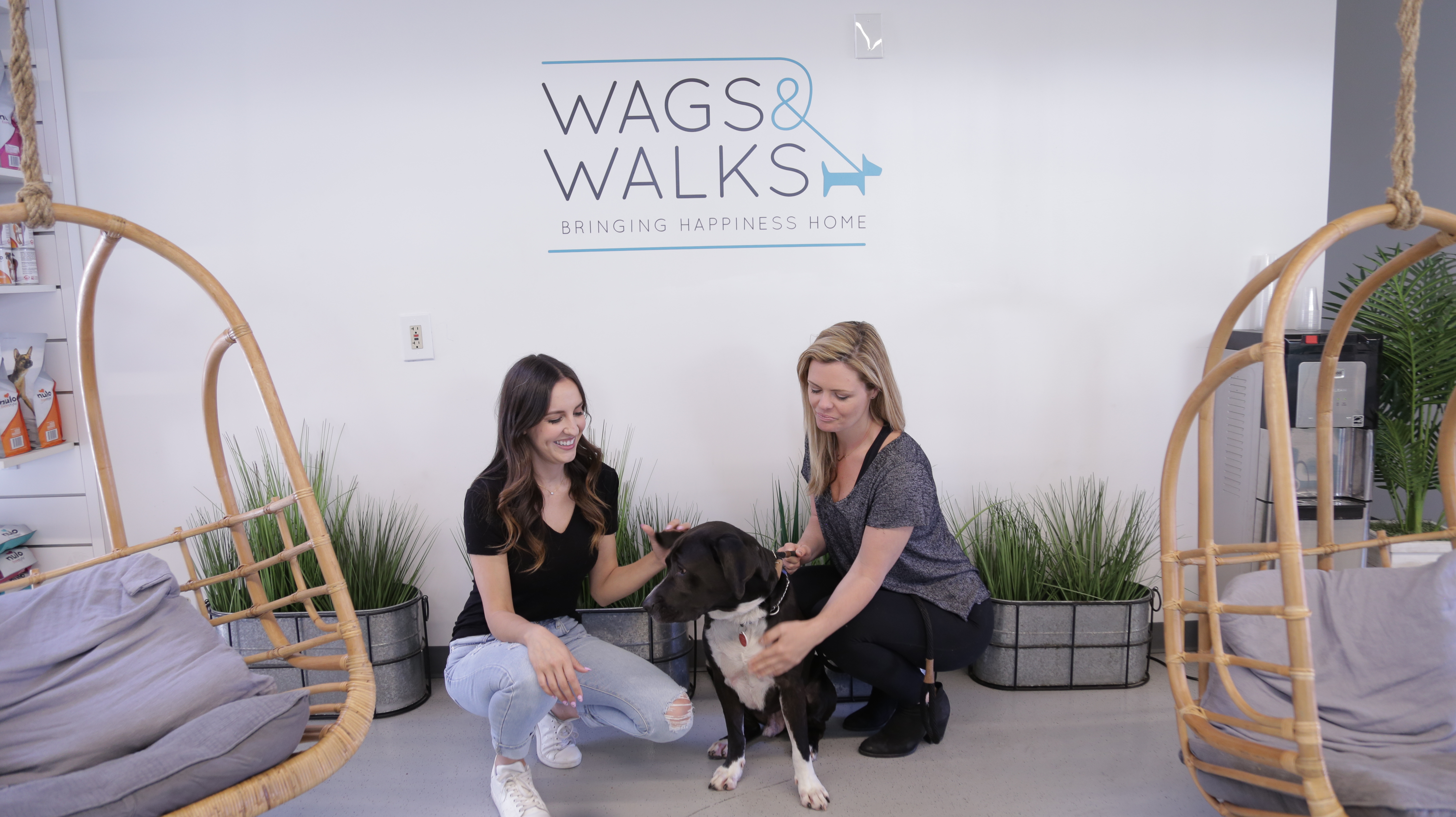 Singer Songwriter Teams With Wags Walks To Raise Money An