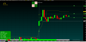 algo trading software