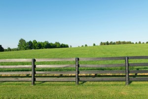 Dallas GA Black Ranch Rail Fence DP Resized GT 01312025