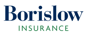 Borislow Logo