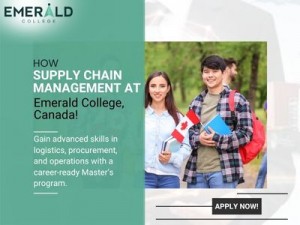 Supply Chain Management in Surrey