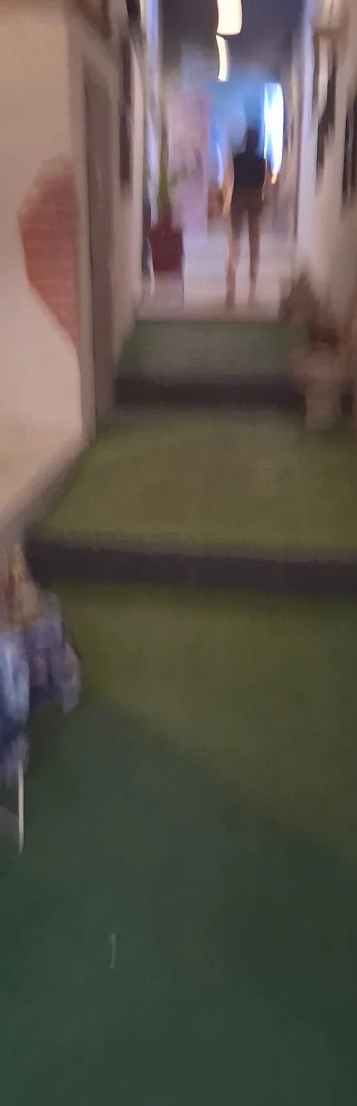 photo entite montauban high