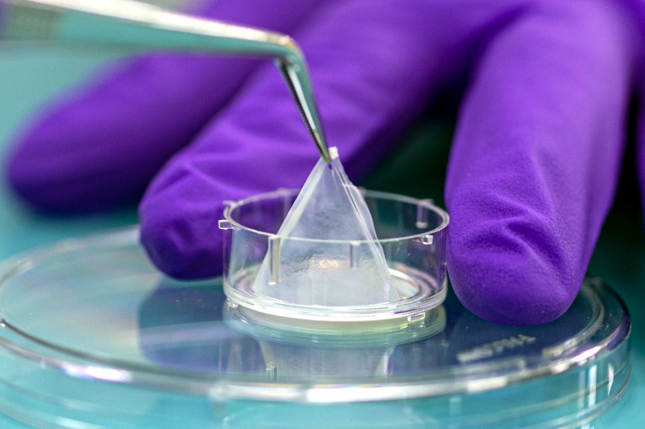 Epsikin 3D tissue in your lab