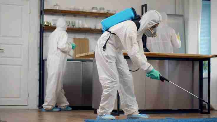 Health Experts Emphasize Safe Pest Control for Family Homes