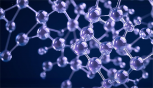 Provides The Necessary Technical Infrastructure