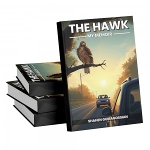 the hawk book cover