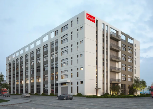 Reliable China Leading Fried Chicken Meat Manufacturer