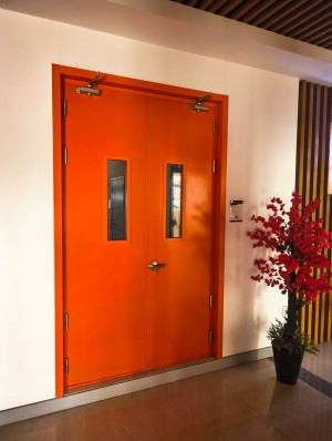 FANSI fire door