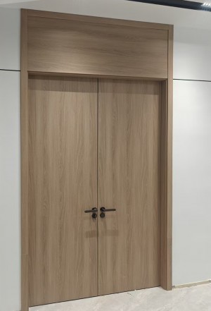 FANSI Industrial Door