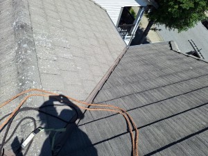 After roof cleaning tile roof 5