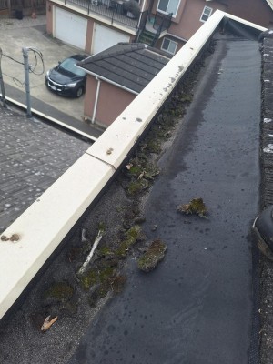 Before gutter cleaning Built in gutters