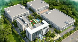 E Lins Leads the Field