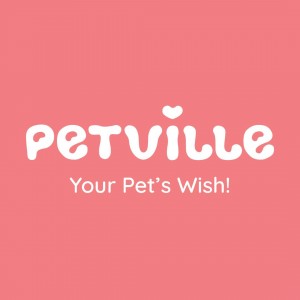 429779051 2057615214599102 3027363543482743237 n