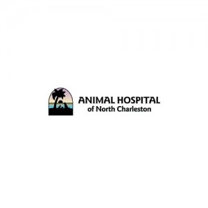 The Animal Hospital of North Charleston Icon