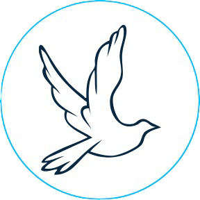 Peoon Launches Global Platform to Connect People, Startups, Investors, and Freelancers Worldwide