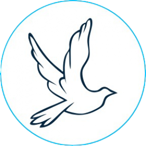 peoon logo 1
