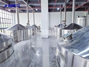Beer Brewing System Equipment