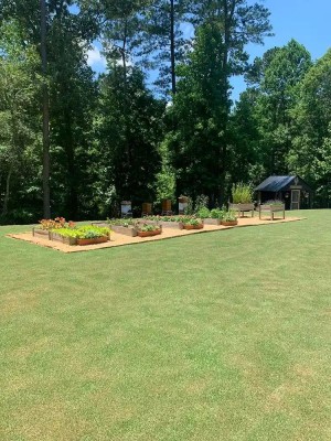 TopdressingAfter2 ff0efda0