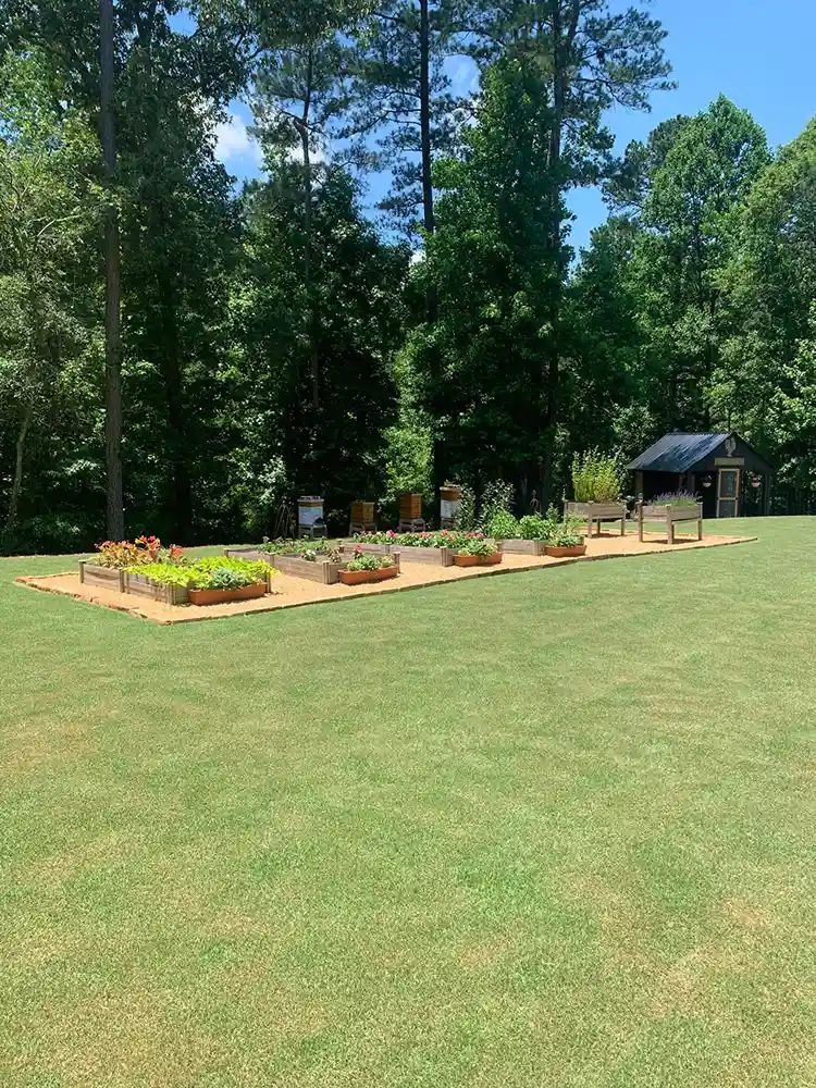 TopdressingAfter2 ff0efda0 TopdressingAfter2 ff0efda0