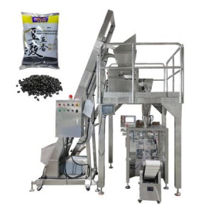 China Top High Speed Multi function Bag Packing Machine Supplier
