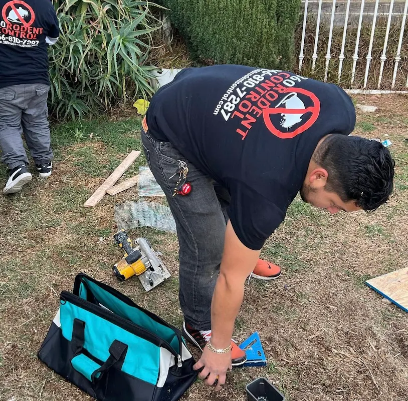 360 Rodent Control Offers Safe, Efficient, and Long-Lasting Rodent Control in Los Angeles