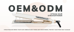 China Best Custom Logo Hair Straightener Brush and Hot Air Brush Supplier