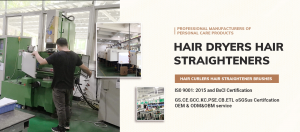 Top 10 Professional Hair Dryer and Straightener Factory in China