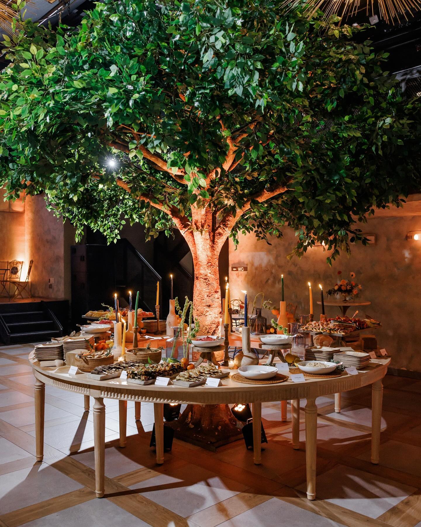 451055586 2011617122569016 5298466544471437731 n