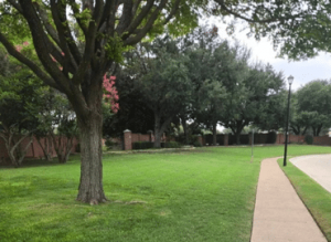 Provide full maintenance across the Dallas area.