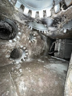 Ductwork Mold