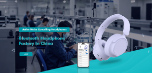 Global Leading Helmet Headset Supplier