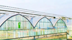 China Leading Manufacturer of Greenhouse Materials