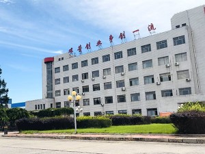 TW Geosynthetics Company