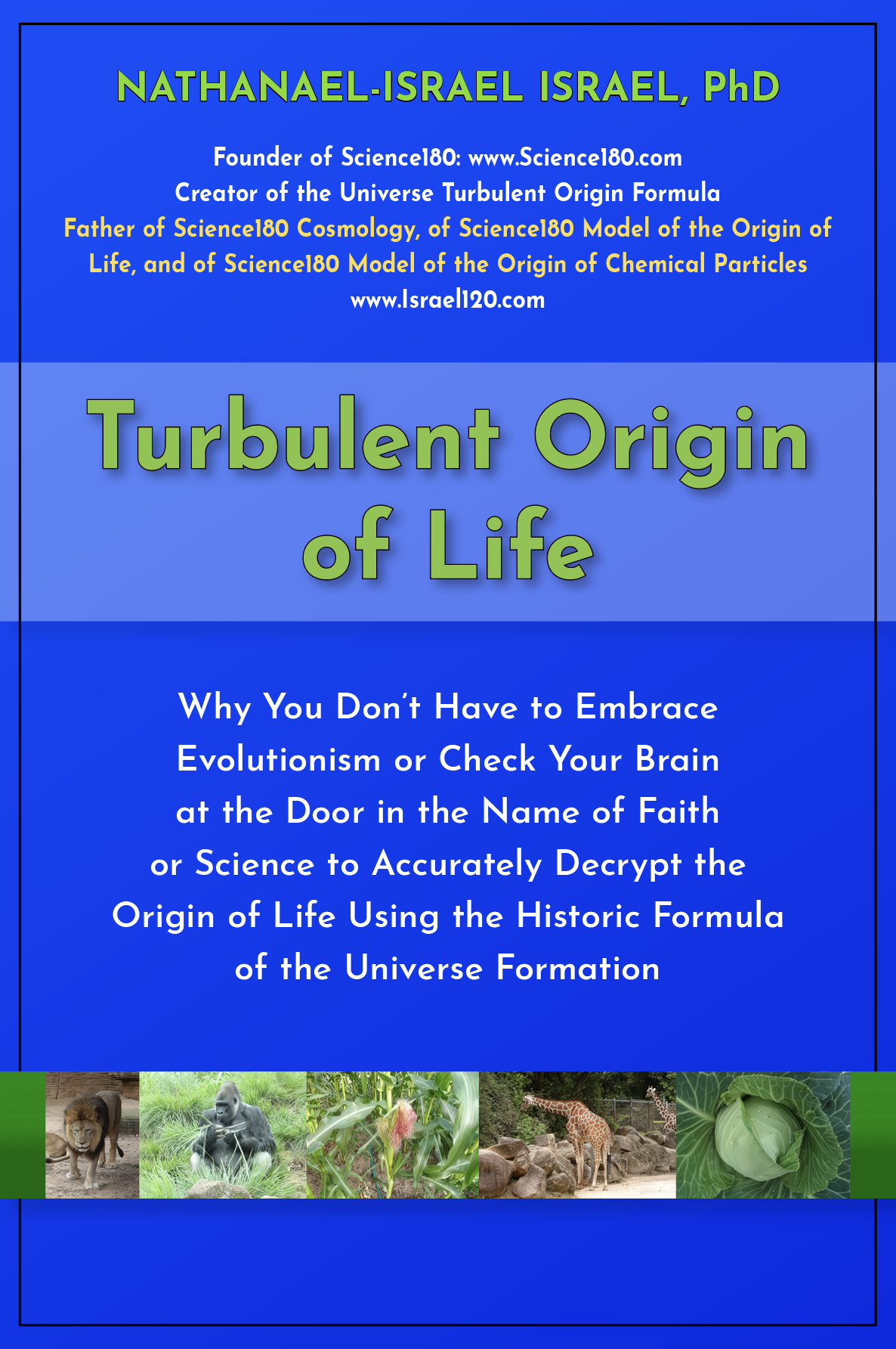 Turbulent Origin of Life frontcover Turbulent Origin of Life frontcover
