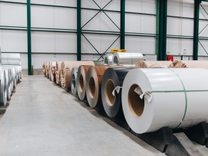 Visual summary thickness zinc paint system and top back paint thickness are the biggest price driver