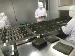 Sushi Nori from Chinese manufacturer