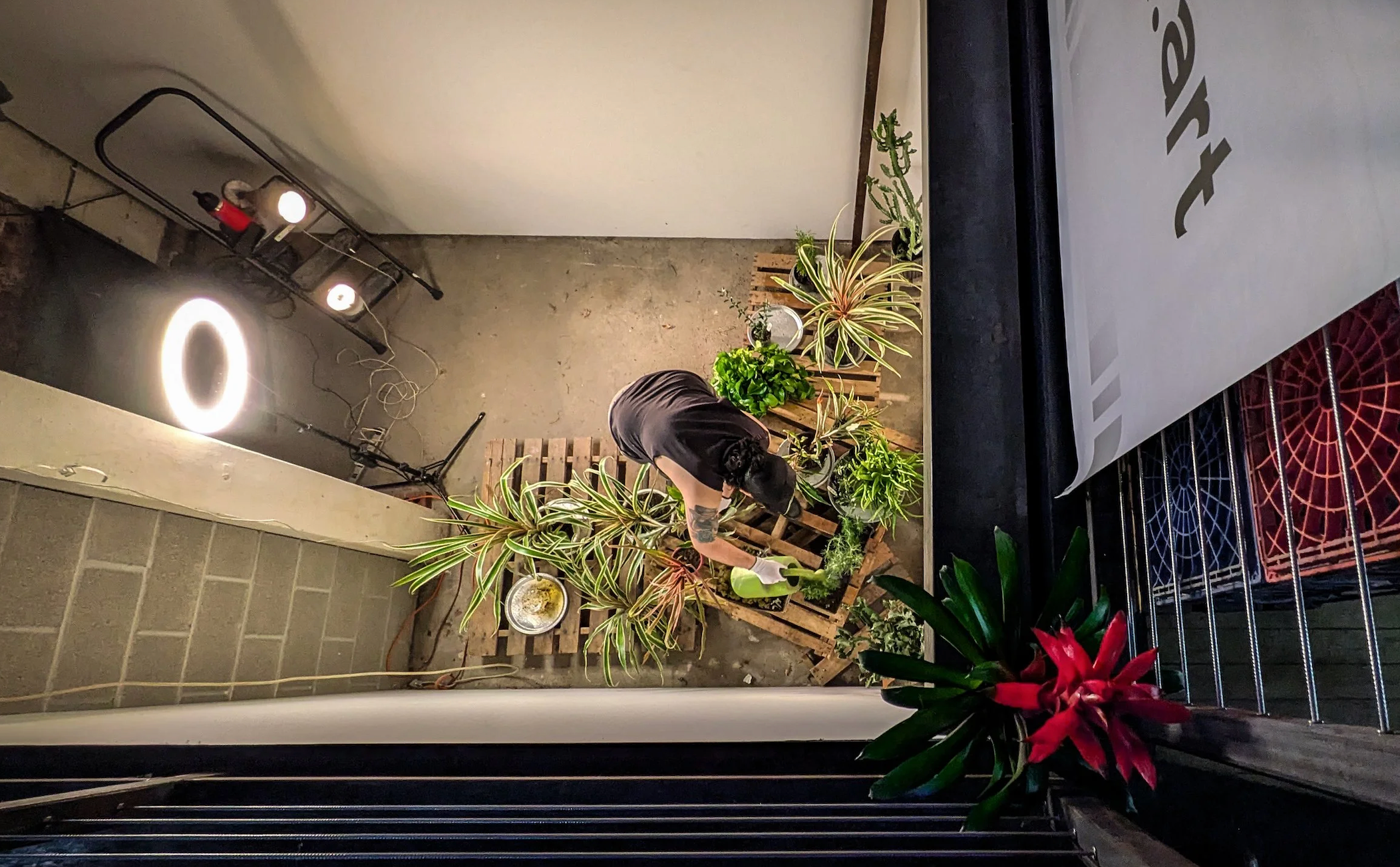 Almost everyday Data Wretch maintains the plants as well as the tech