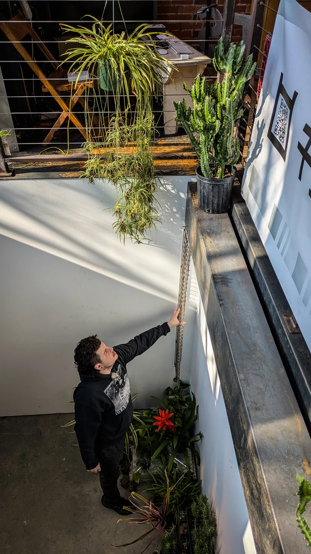 Data Wretch starts the framing for plants