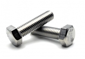 Customized Stainless Steel Screws