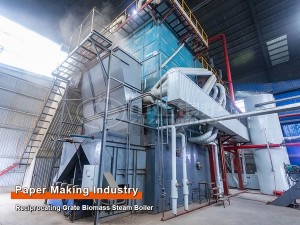 Best Biomass Boiler Supplier