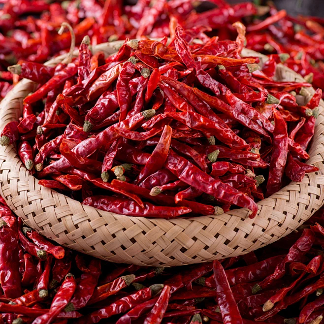 Premium Chili Supplier Premium Chili Supplier